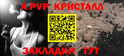 дмт Кингисепп
