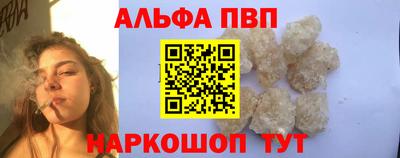 дмт Кингисепп